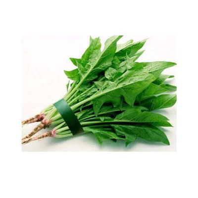 Máy ép màng nhựa trái cây tươi